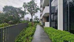 The Arden (D23), Apartment #538802821
